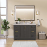 GETPRO 48" Bathroom Vanity Cabinet With Sink Combo Set, Modern Solid Wood Frame Bathroom Storage Vanity With Single Sink, Led Lighted Mirror, 2 Soft Closing Doors & 6 Full Extension Drawers